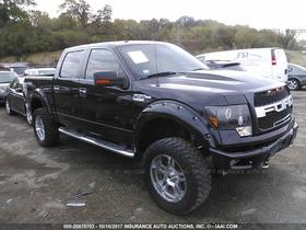 2011 Ford F-150
