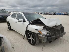 2014 Nissan Maxima