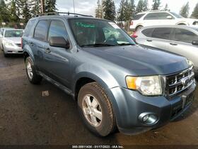 2010 Ford Escape