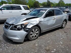 2010 Honda Accord