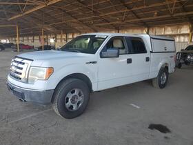 2009 Ford F-150