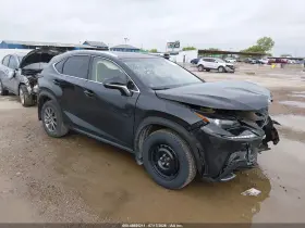 2019 Lexus NX